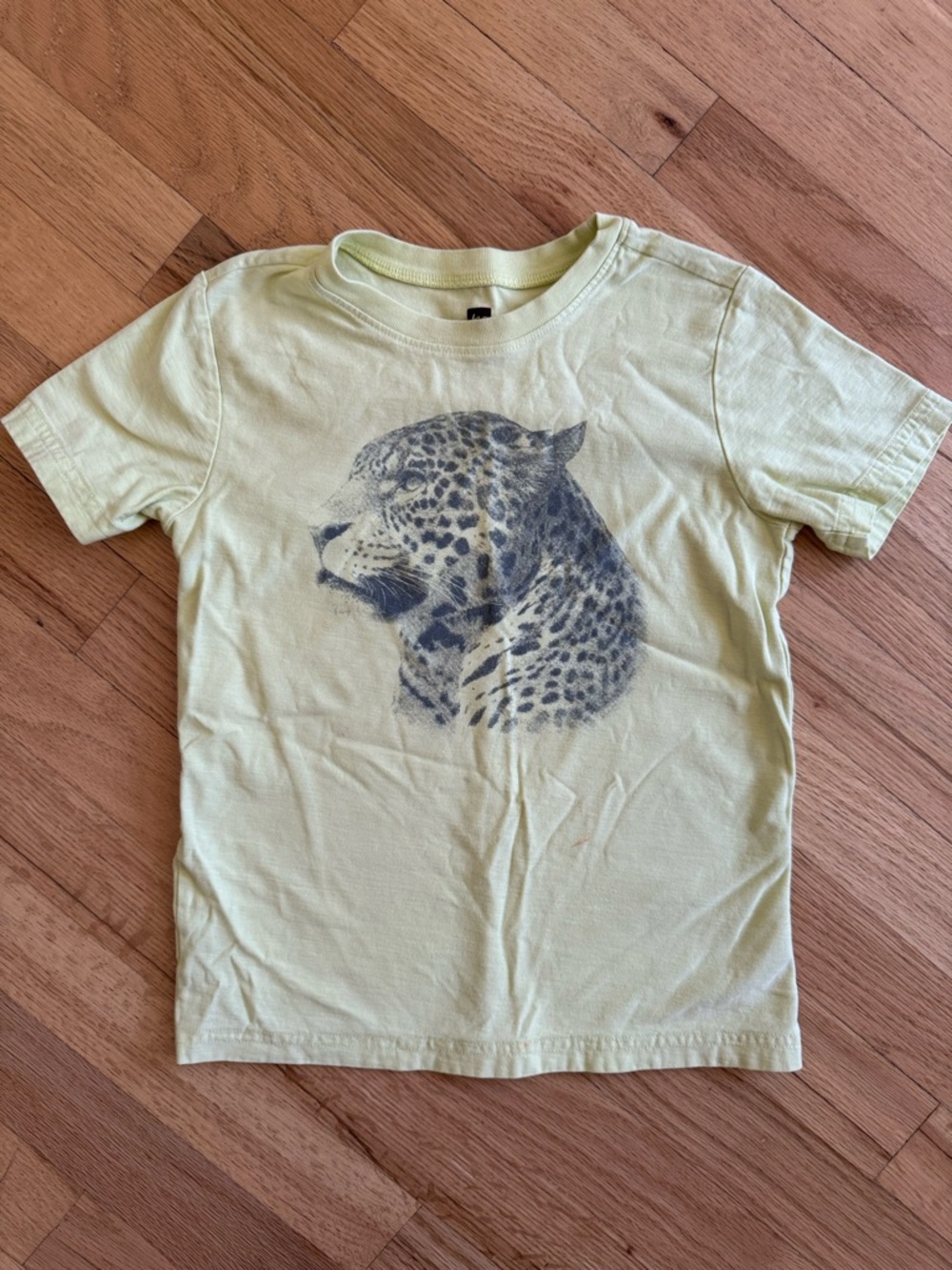 Tea Collection T-Shirt Boys Size 7